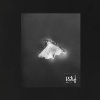 Ariana Grande Petal wallpaper