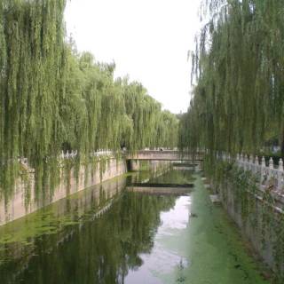 Tsinghua University wallpaper