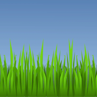 Wavy grass wallpaper