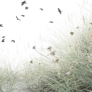 Wavy grass wallpaper