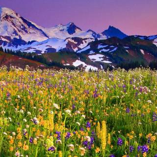 Mount Baker wallpaper