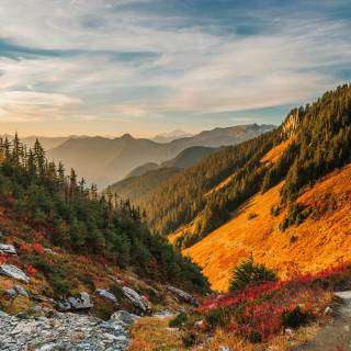 Mount Baker wallpaper