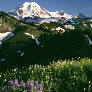Mount Baker wallpaper