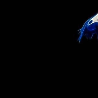 Pokémon Macbook wallpaper