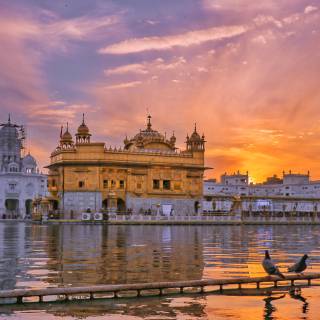 Golden Temple 4k wallpaper