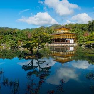 Golden Temple 4k wallpaper