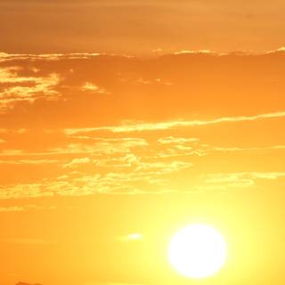 Sunlight eyes 4k wallpaper