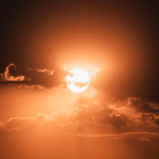 Sunlight eyes 4k wallpaper