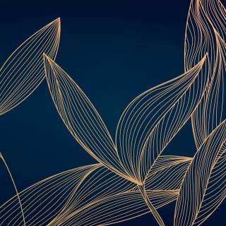 Fine art 4k wallpaper
