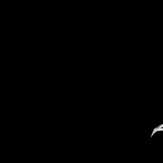 4k Black Panther PC wallpaper