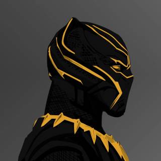 4k Black Panther PC wallpaper