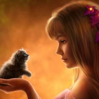 Cute kitten 4k wallpaper