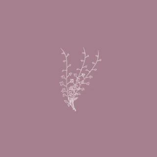 Aesthetic minimalist phone wallpaper