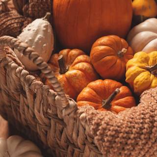 Fall season phone wallpaper