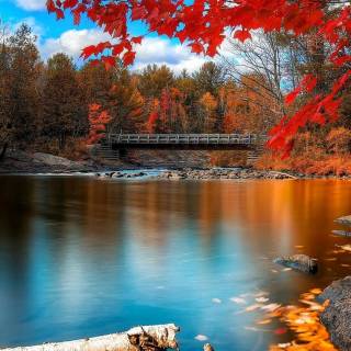 Fall season phone wallpaper