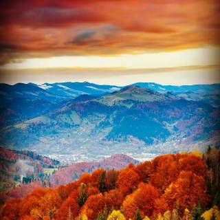 Fall season phone wallpaper