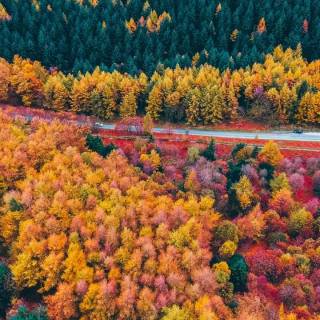 Fall season phone wallpaper