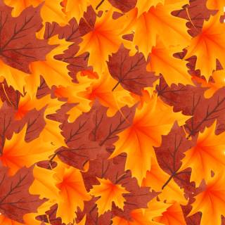 Fall season phone wallpaper