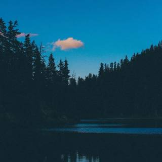 Wilderness phone wallpaper