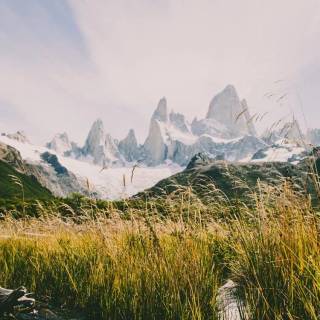 Wilderness phone wallpaper