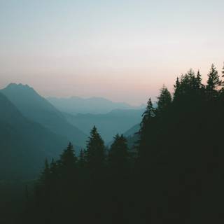 Wilderness phone wallpaper
