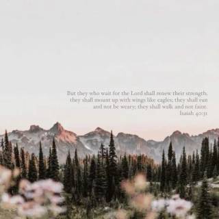 Wilderness phone wallpaper