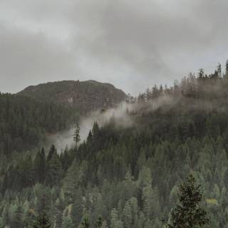 Wilderness phone wallpaper