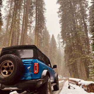 Ford Bronco phone wallpaper