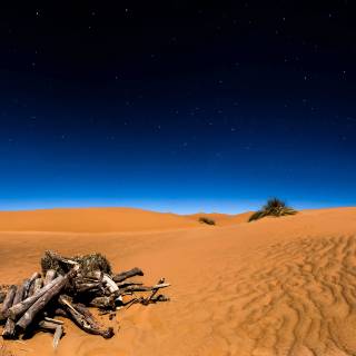 Desert night 4k wallpaper