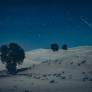 Desert night 4k wallpaper