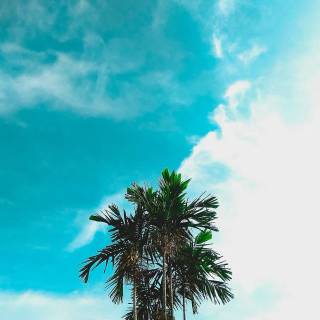 4k bright mobile wallpaper