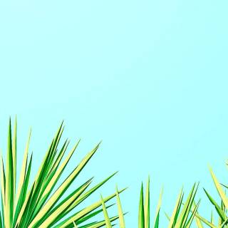 4k bright mobile wallpaper