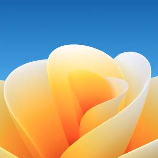 4k bright mobile wallpaper