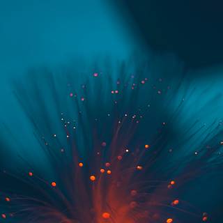 4k bright mobile wallpaper