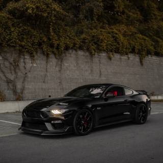 4k Mustang car wallpaper