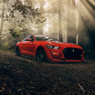 4k Mustang car wallpaper