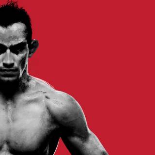 Desktop UFC wallpaper