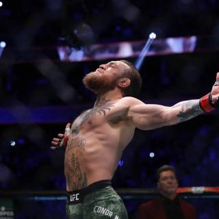 Desktop UFC wallpaper