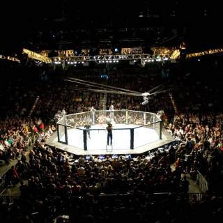 Desktop UFC wallpaper