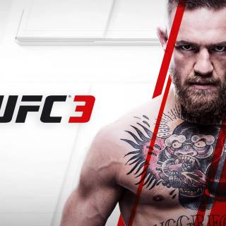 UFC 4k PC wallpaper