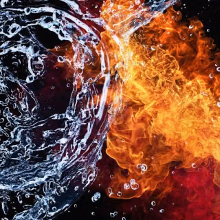 Vivo Y50 phone wallpaper