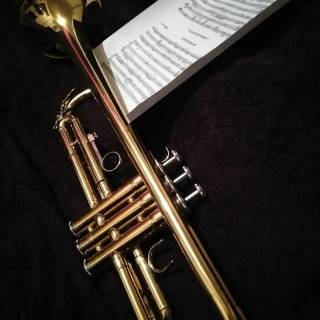 Trumpet phone wallpaper