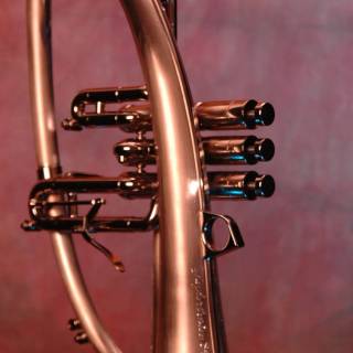 Trumpet phone wallpaper