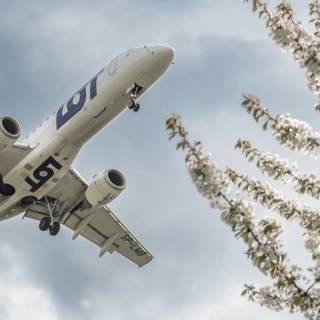 Phone aeroplane wallpaper