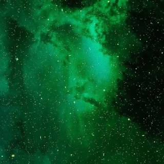 Green space phone wallpaper
