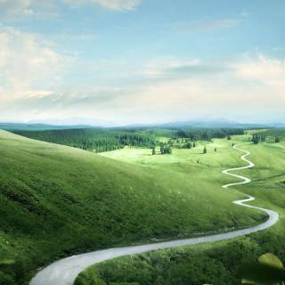 Green space phone wallpaper