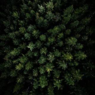 Aerial phone wallpaper