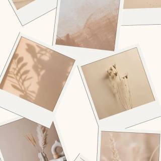 Beige collage phone wallpaper