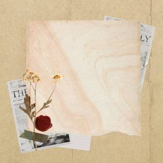 Beige collage phone wallpaper