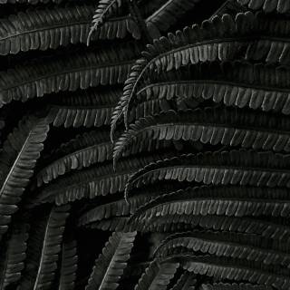 Black and grey phone wallpaper